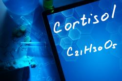 cortisol chemical formula cortisol chemical formula