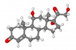 cortisol molecular model cortisol molecular model