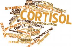 how to decrease cortisol how to decrease cortisol