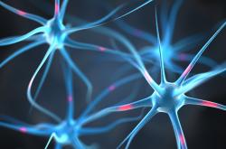 overactivation of the brain overactivation of the brain