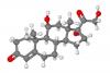 cortisol molecular model cortisol molecular model
